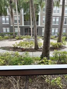 Crescent Palms - Image 3