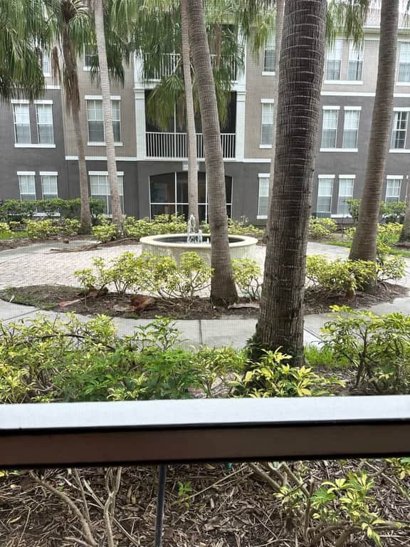 Crescent Palms - Image 3
